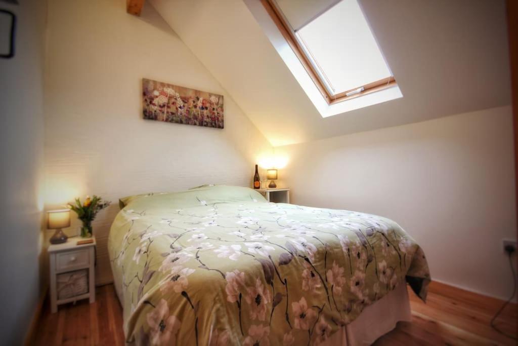 Y Boidy Bach Villa Llangranog Exteriör bild
