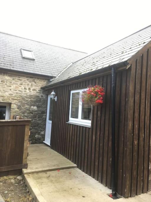 Y Boidy Bach Villa Llangranog Exteriör bild